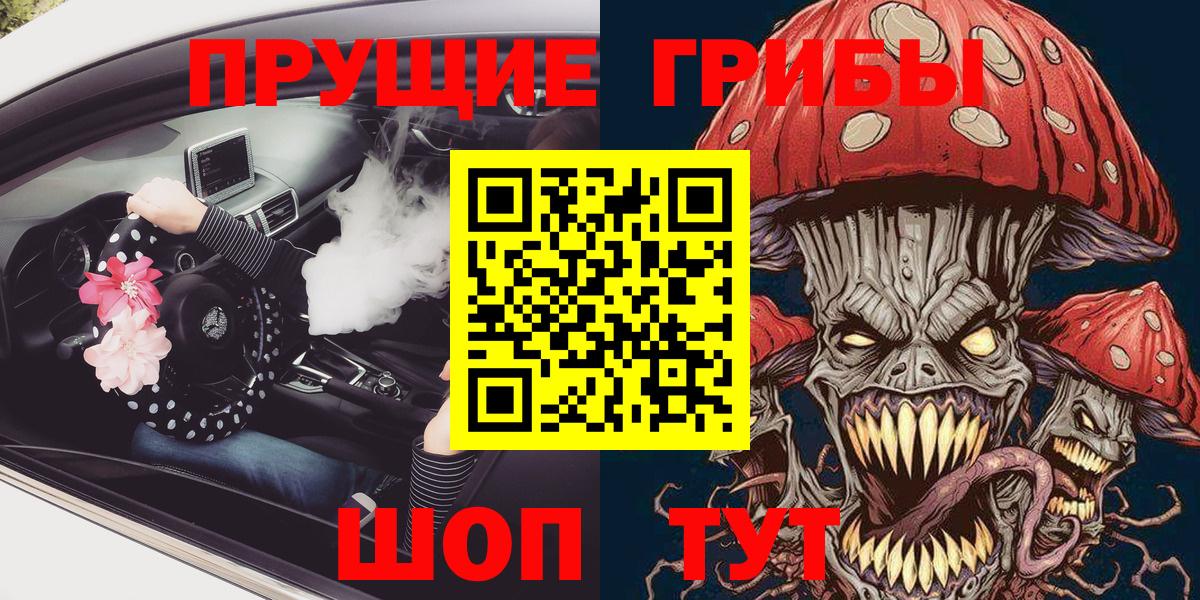 Галлюциногенные грибы Psilocybine cubensis Грозный