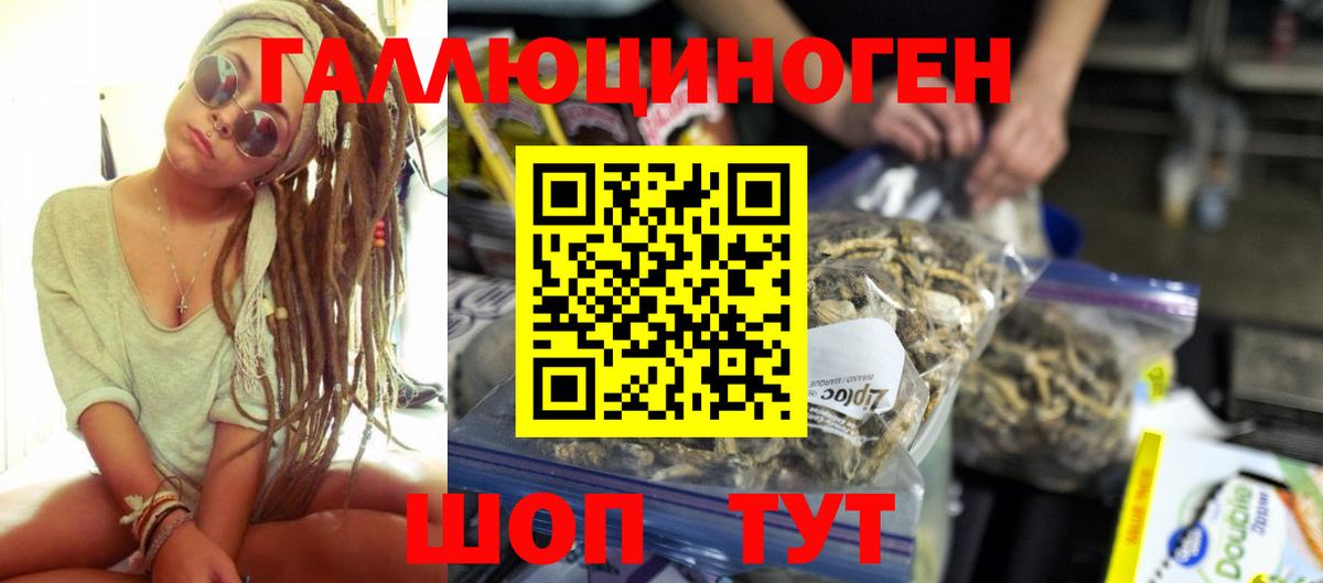 Псилоцибиновые грибы мицелий  Галлюциногенные грибы GOLDEN TEACHER  Вход с VPN  Грозный 